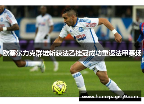 欧塞尔力克群雄斩获法乙桂冠成功重返法甲赛场 欧塞尔力克群雄斩获法乙桂冠成功重返法甲赛场