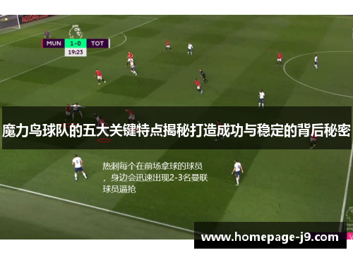 魔力鸟球队的五大关键特点揭秘打造成功与稳定的背后秘密