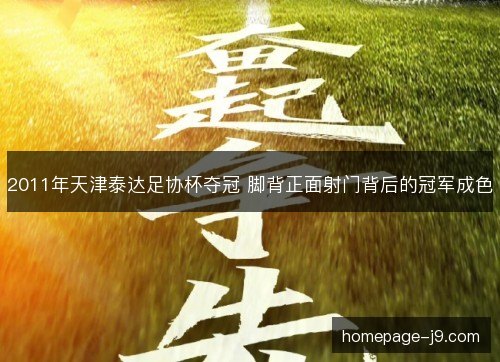 2011年天津泰达足协杯夺冠 脚背正面射门背后的冠军成色